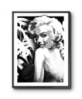Midnight Monroe